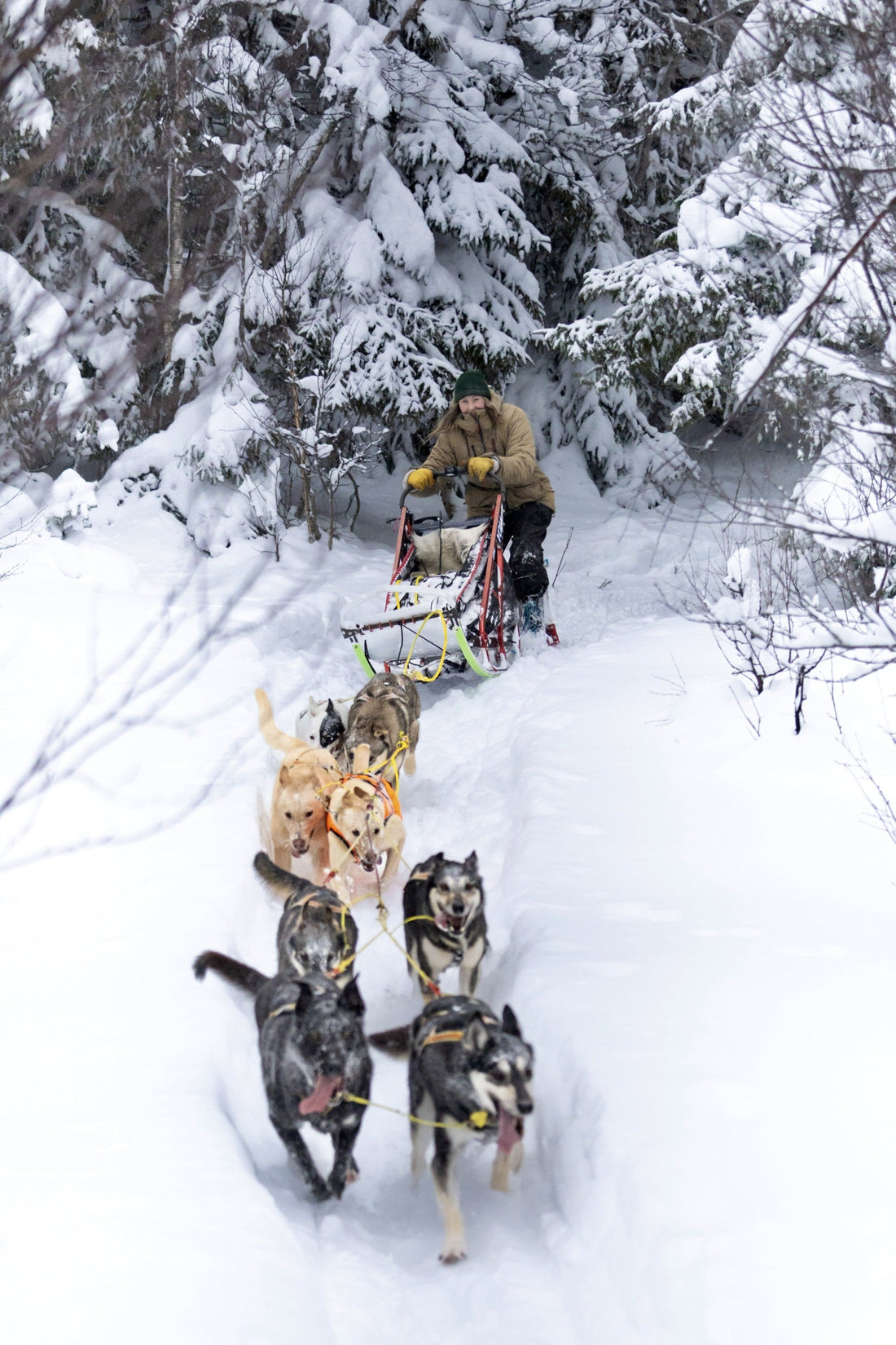 Annbjørg Bakken på sporet