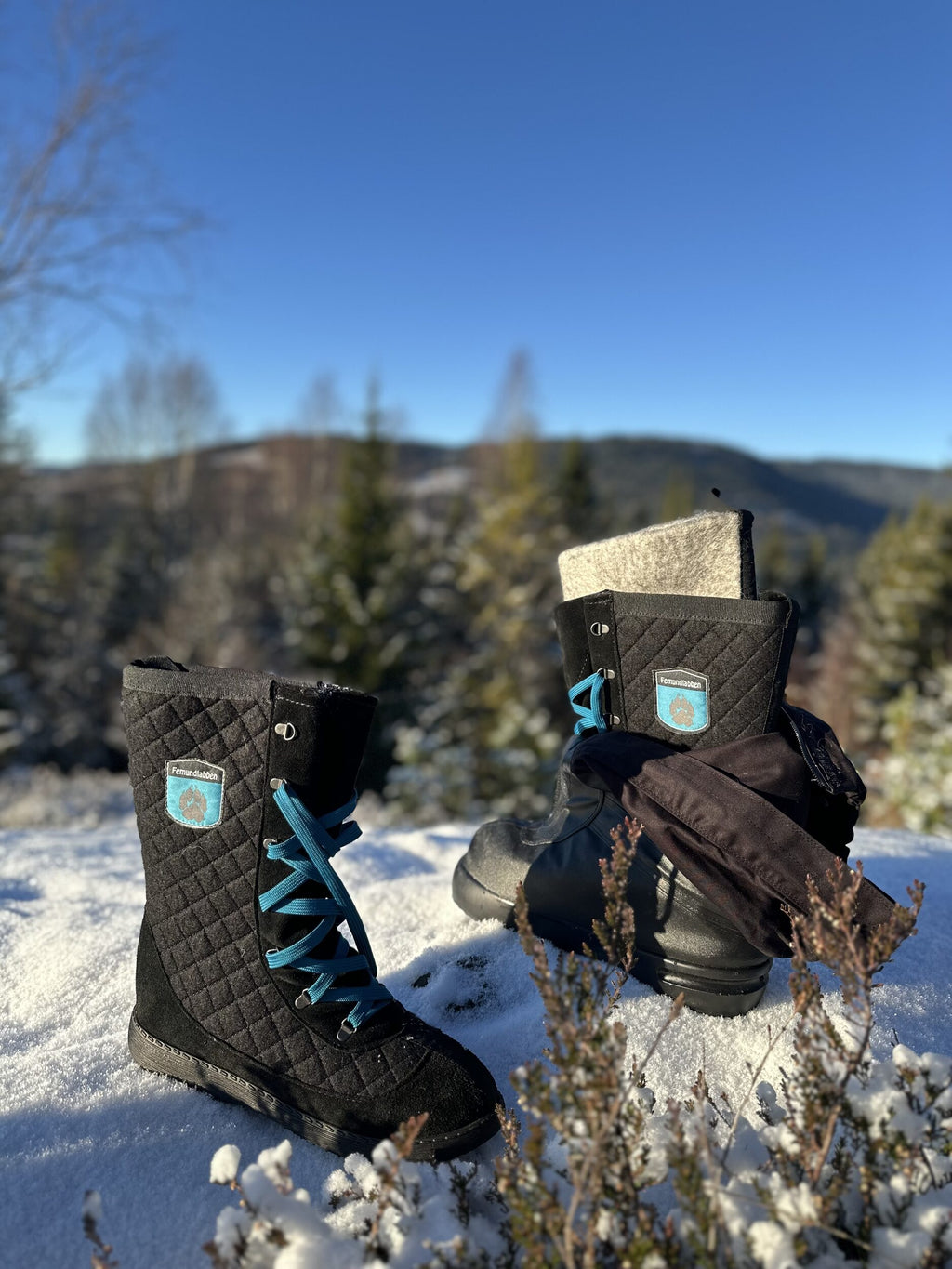 Femundlabben i sort i snøen