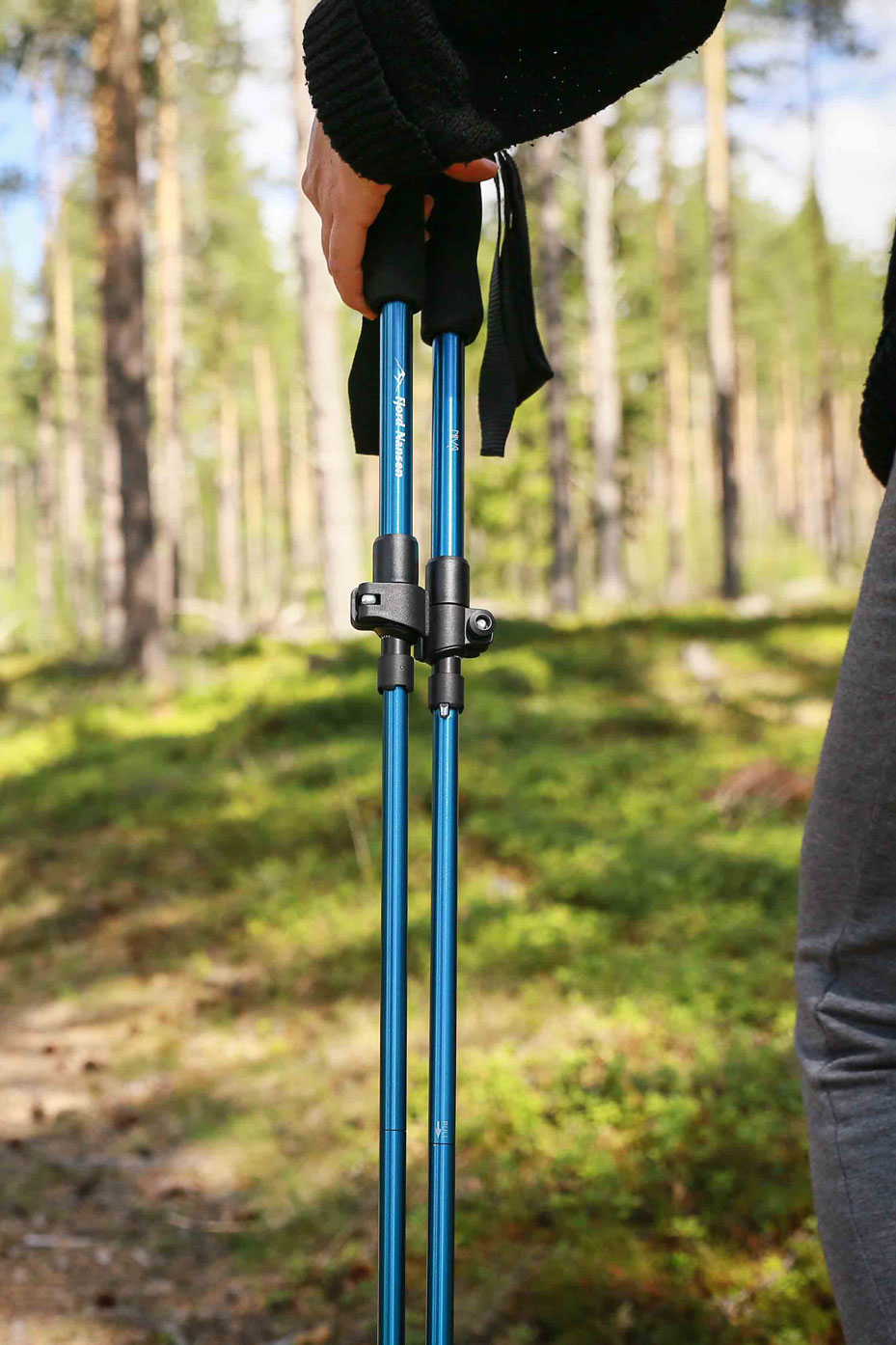 Niva gåstaver