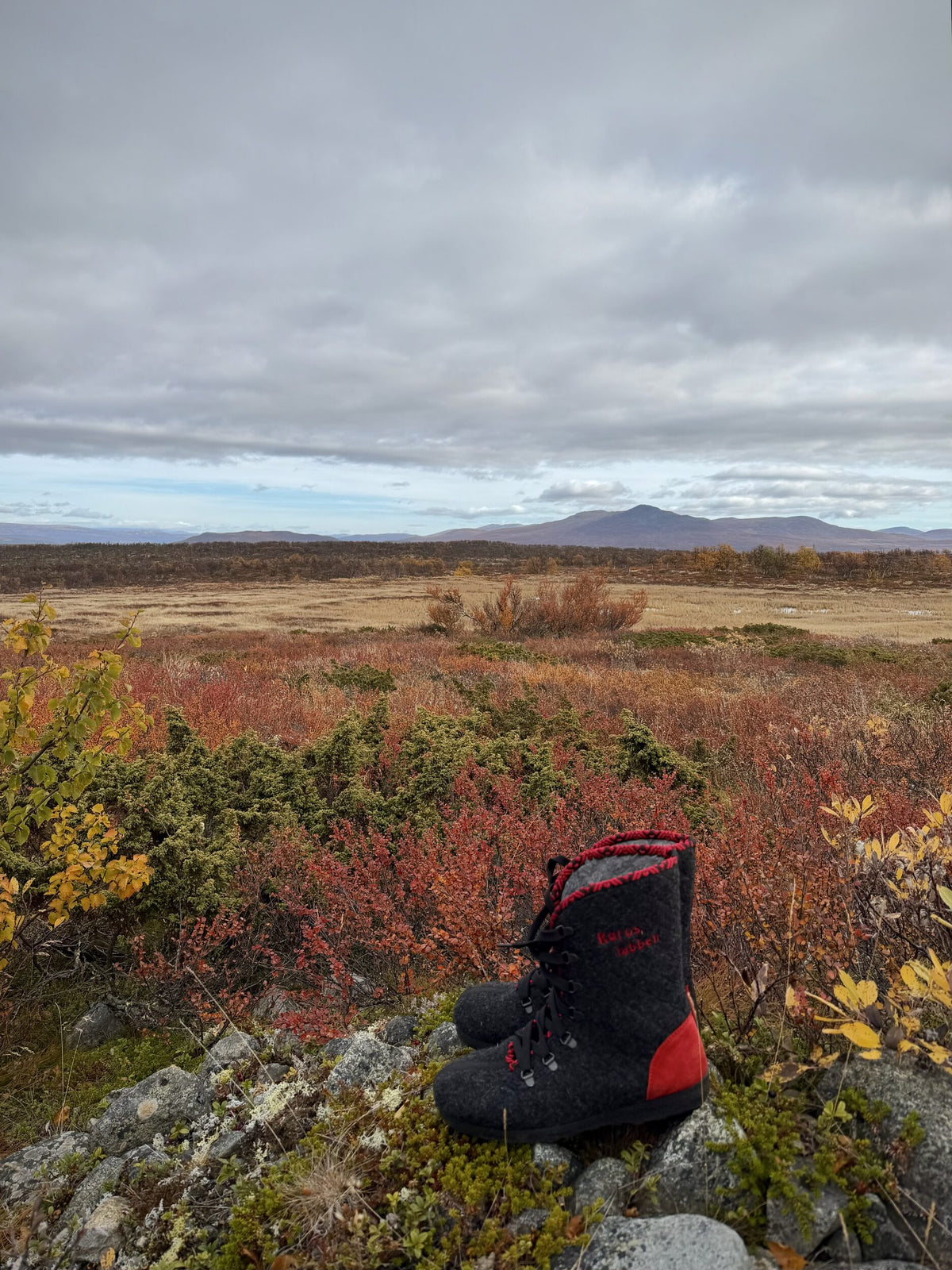Røroslabben i rød på fjellvidda