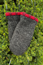 Rørosvotten